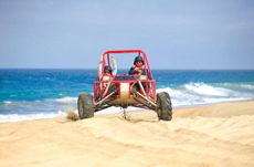 Cabo San Lucas All-Terrain Buggy Tour cruise excursion